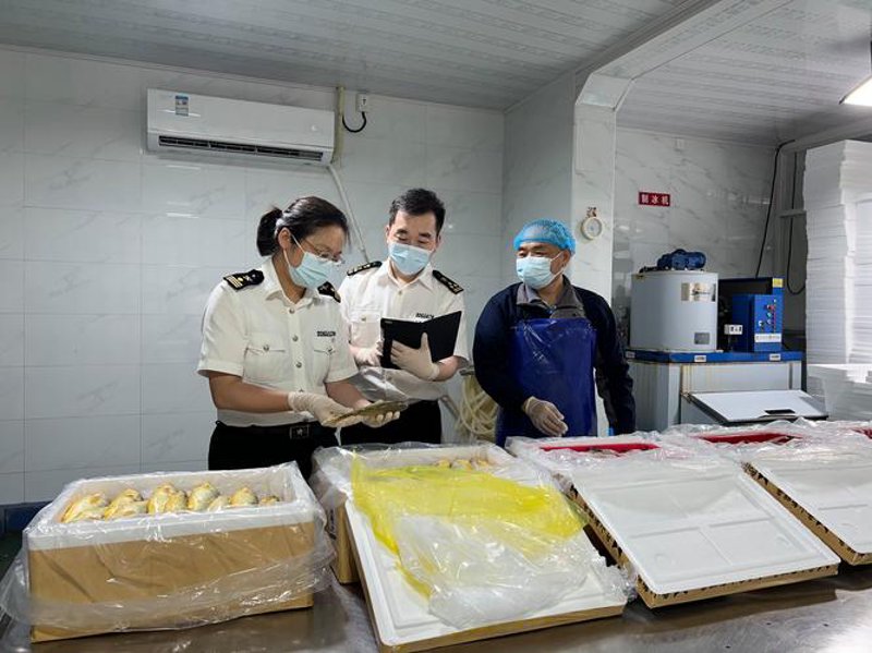 威海进出口公司在国际贸易中的新角色